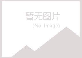 辽宁紫山能源有限公司